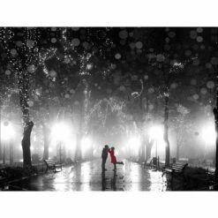 Park Of Romance, B&W Canvas Art
