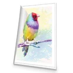 Watercolour Finch Canvas Art -WALL ART DESGIN SALE 2428DR V Watercolour Finch ROLLED THUMB f8978af4 e504 4cbb 88fc 1c6860d862d8