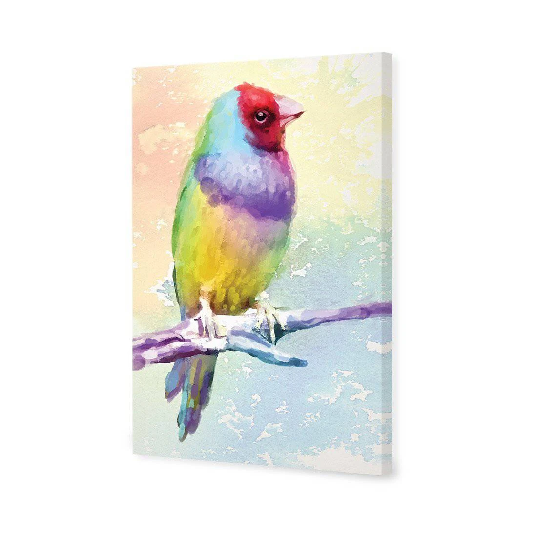 Watercolour Finch Canvas Art Watercolour Finch Canvas Art -WALL ART DESGIN SALE 2428DR V Watercolour Finch 3D THUMB 45e8387d 06f7 4602 8f80 a993a21070b1