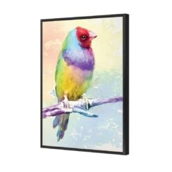 Watercolour Finch Canvas Art -WALL ART DESGIN SALE 2428DR V Watercolour Finch 3D THUMB FF BLK 61b271e7 b90c 4200 891d 5fb7927f4d91