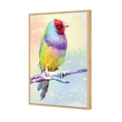 Watercolour Finch Canvas Art -WALL ART DESGIN SALE 2428DR V Watercolour Finch 3D THUMB FF OAK 79b740d7 f2ae 4d6a b5ad d703c3dbde58