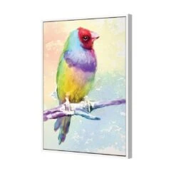 Watercolour Finch Canvas Art -WALL ART DESGIN SALE 2428DR V Watercolour Finch 3D THUMB FF WHT 5279ae5c a209 43f2 8428 56dbac748cf6