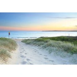 Sand Steps Canvas Art