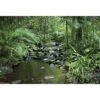Signature Series - Mossman River In Daintree Rainforest -WALL ART DESGIN SALE 2610AR H Mossman River in Daintree Rainforest Thumb 832c1097 ca11 491d b406 23228c785854 1