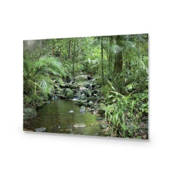 Mossman River In Daintree Rainforest Acrylic Print Art -WALL ART DESGIN SALE 2610AR H Mossman River in Daintree Rainforest ACR EDG THUMB 93400f19 3e2d 4f38 9281 8345d5309c66