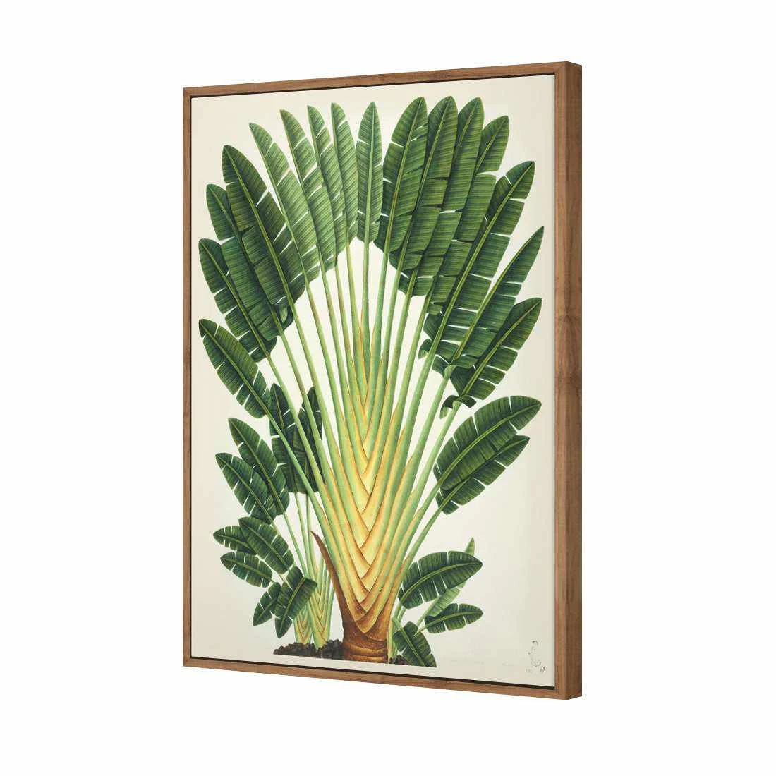Traveller's Palm Tree Canvas Art Traveller's Palm Tree Canvas Art -WALL ART DESGIN SALE 2734AR V Traveller s Palm Tree 3D THUMB FF NAT 3d7f52b3 2918 4ad2 998a 7501772ce45c