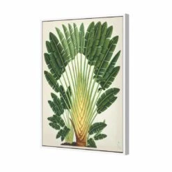 Traveller's Palm Tree Canvas Art -WALL ART DESGIN SALE 2734AR V Traveller s Palm Tree 3D THUMB FF WHT ae80a47a bb34 4b67 865c a61377eaca83