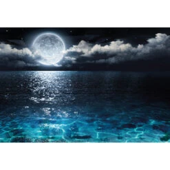Moonlight Flit Acrylic Print Art