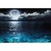 Moonlight Flit Canvas Art