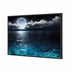 Moonlight Flit Canvas Art -WALL ART DESGIN SALE 2878AR H Moonlight Flit 3D THUMB FF BLK 12723b67 b04d 43cc 9b6c 62551e625610