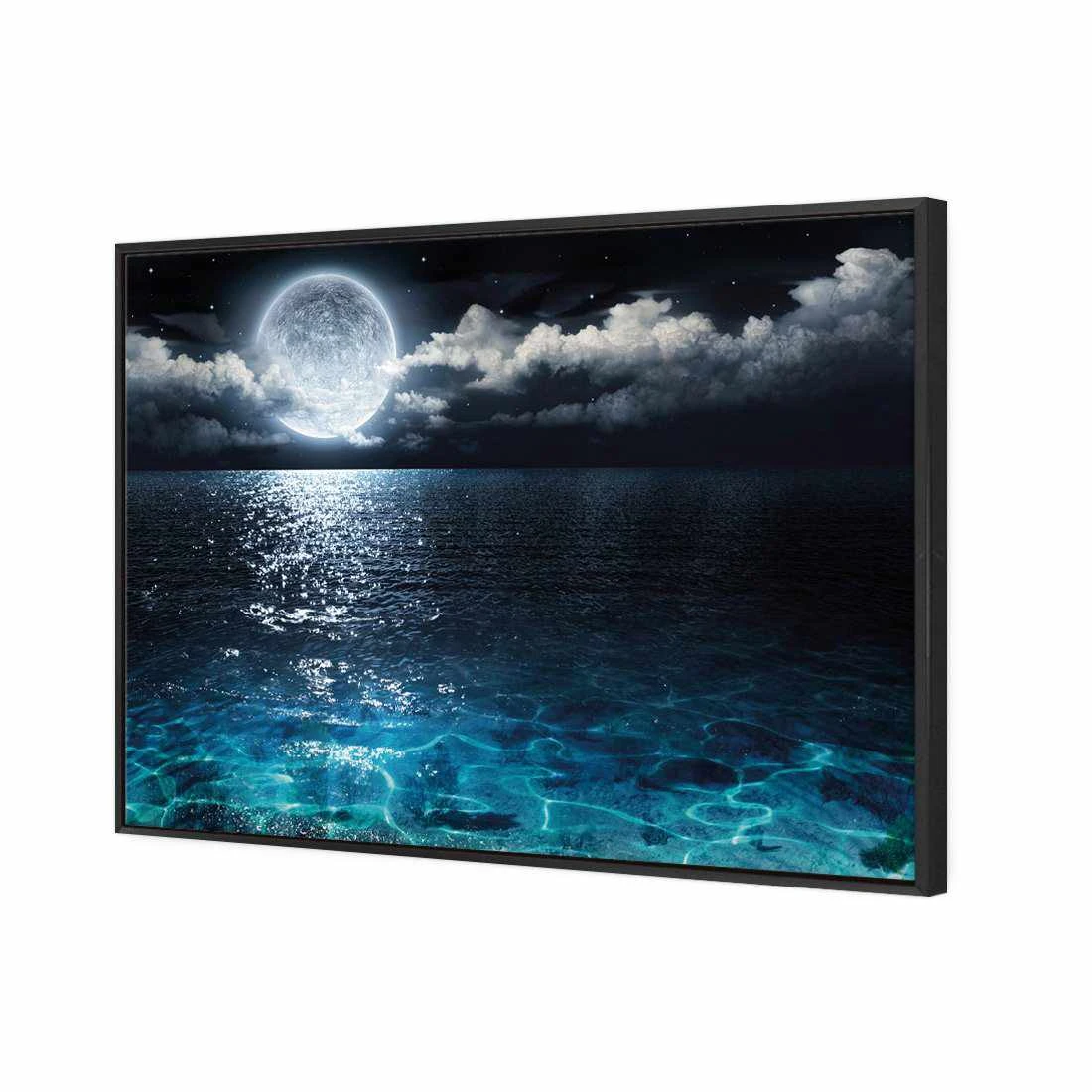 Moonlight Flit Canvas Art Moonlight Flit Canvas Art -WALL ART DESGIN SALE 2878AR H Moonlight Flit 3D THUMB FF BLK 12723b67 b04d 43cc 9b6c 62551e625610