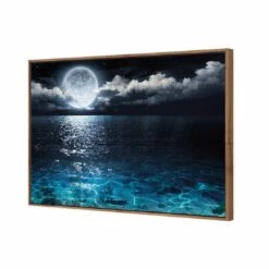 Moonlight Flit Canvas Art -WALL ART DESGIN SALE 2878AR H Moonlight Flit 3D THUMB FF NAT edbb8ef3 8a23 40b5 aa72 b7f3024fd896