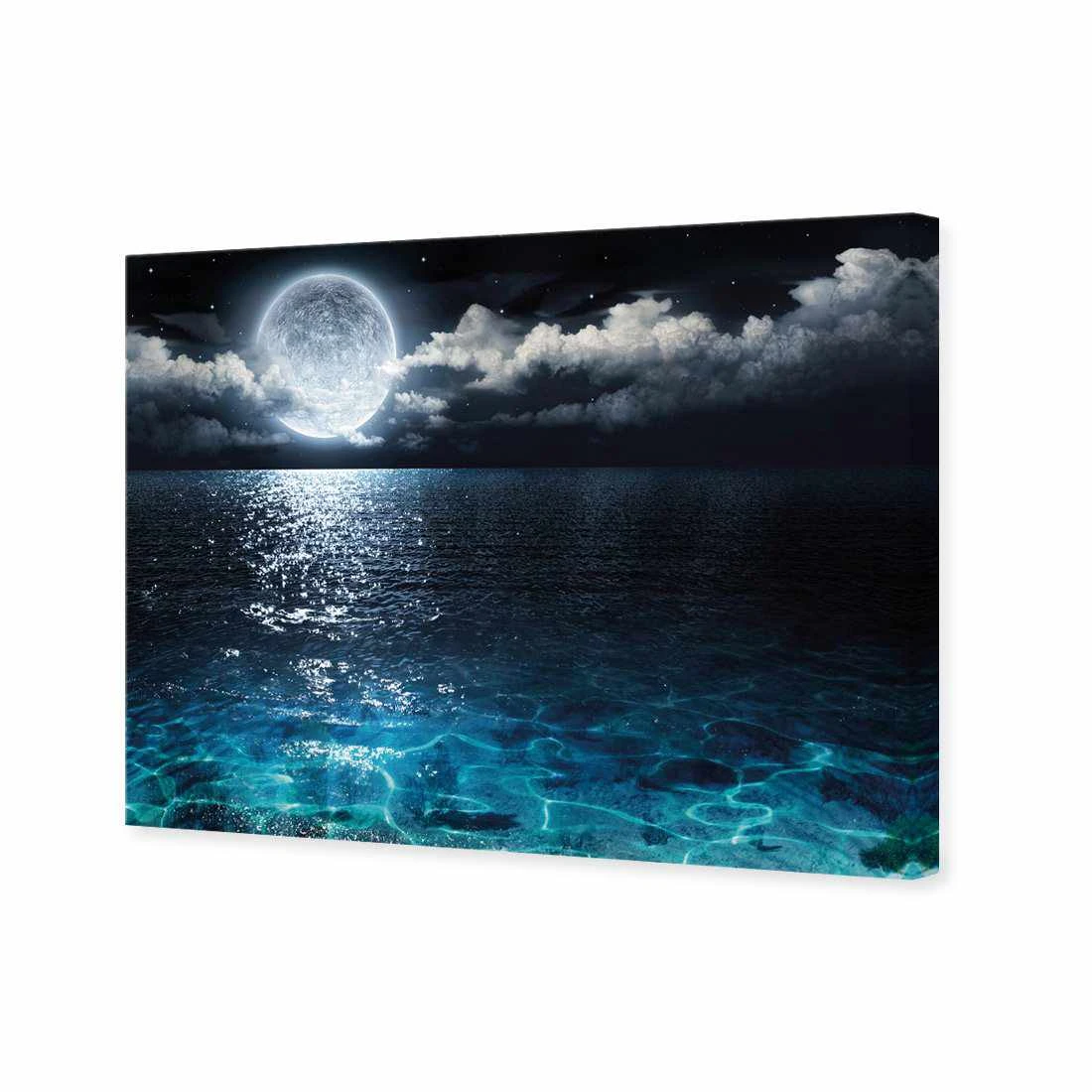 Moonlight Flit Canvas Art Moonlight Flit Canvas Art -WALL ART DESGIN SALE 2878AR H Moonlight Flit 3D THUMB e5c11d77 09e3 4bf4 a801 f0156d984356