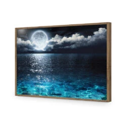 Moonlight Flit Acrylic Print Art -WALL ART DESGIN SALE 2878AR H Moonlight Flit ACR EDG THUMB FF NAT