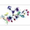 Watercolour Blossom Branch Canvas Art -WALL ART DESGIN SALE 2880AR Watercolour Blossom Branch Thumb c2f4604f 89aa 4c5b ae39 a3639ee8aac4