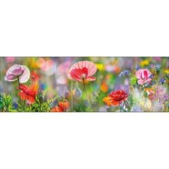 Poppy Panorama Canvas Art