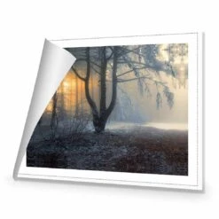 Winter Forest Pond, Rectangle Canvas Art -WALL ART DESGIN SALE 3000AR H Winter Forest Pond ROLLED Thumb 25c29847 bc6c 4c51 935e d261950ec5a3