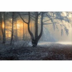 Winter Forest Pond, Rectangle Canvas Art