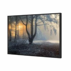 Winter Forest Pond, Rectangle Canvas Art -WALL ART DESGIN SALE 3000AR H Winter Forest Pond 3D FF BLK Thumb b69e345f 56af 4a3e aec5 263ca06589a6