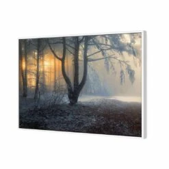 Winter Forest Pond, Rectangle Canvas Art -WALL ART DESGIN SALE 3000AR H Winter Forest Pond 3D FF WHT Thumb f1187d70 4b23 4f86 8c7c 47518a2c2363