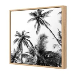 Palm Projections (Square) -WALL ART DESGIN SALE 3004AS Palm Projections 3D Thumb FF OAK 1