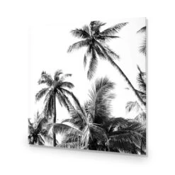 Palm Projections (Square) -WALL ART DESGIN SALE 3004AS Palm Projections ACR EDG THUMB d17c7e39 70ad 4460 9f60 3ed3c3431cb3