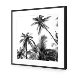 Palm Projections (Square) -WALL ART DESGIN SALE 3004AS Palm Projections ACR MAT THUMB FF BLK
