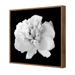 Salubrious Peony Canvas Art -WALL ART DESGIN SALE 3010AS Salubrious Peony 3D FF NAT Thumb 91bd2121 70ec 426c 82d0 9f5564285908