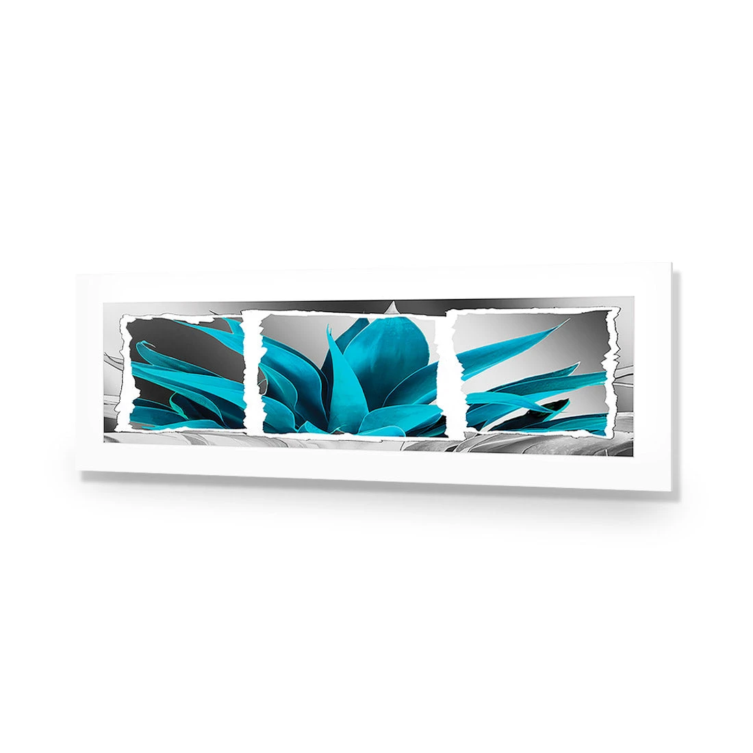 Plant In Window, Turquoise, Long Acrylic Print Art Plant In Window, Turquoise, Long Acrylic Print Art -WALL ART DESGIN SALE 305EL H Plant in Window Turquoise Max Size 210x70 ACR MAT THUMB 8ea7269c ff39 445f b873 9714bd24ab4d