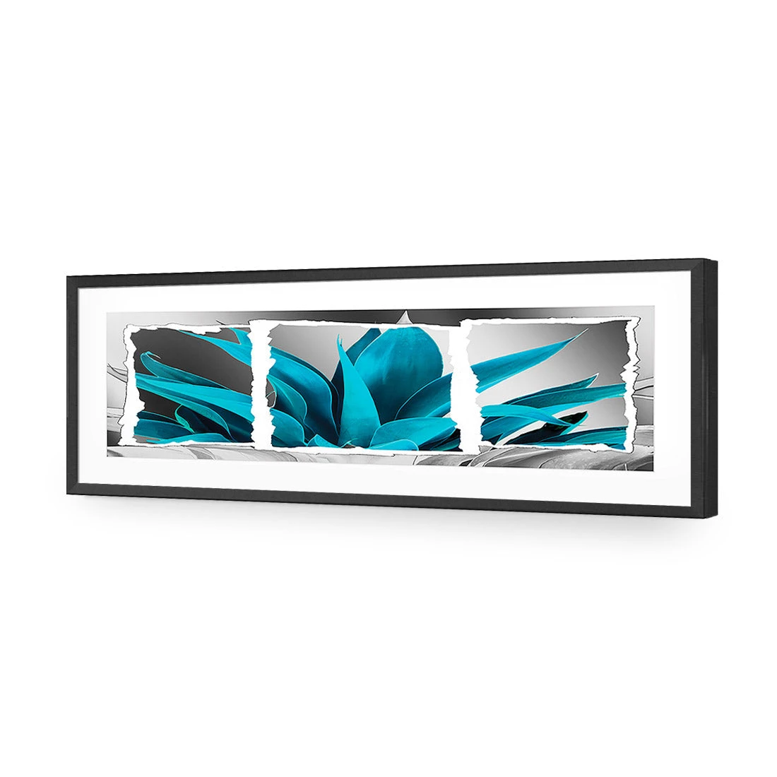 Plant In Window, Turquoise, Long Acrylic Print Art Plant In Window, Turquoise, Long Acrylic Print Art -WALL ART DESGIN SALE 305EL H Plant in Window Turquoise Max Size