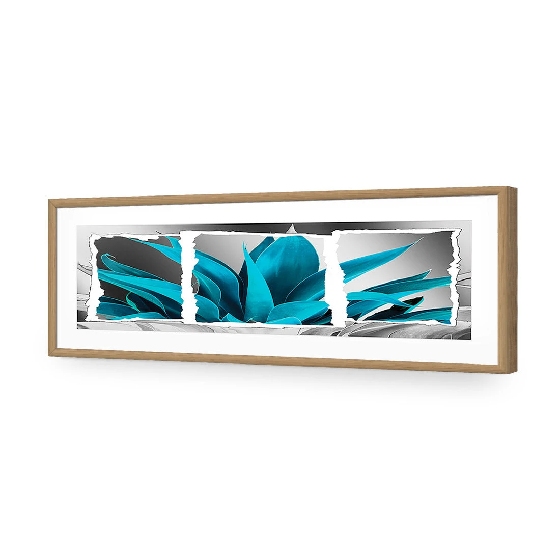 Plant In Window, Turquoise, Long Acrylic Print Art Plant In Window, Turquoise, Long Acrylic Print Art -WALL ART DESGIN SALE 305EL H Plant in Window Turquoise Max Size