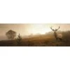 Morning Stag (Long) -WALL ART DESGIN SALE 3060AL H Morning Stag Thumb 1 6c1bfdd1 2103 4435 8e1a 583ee1dade30