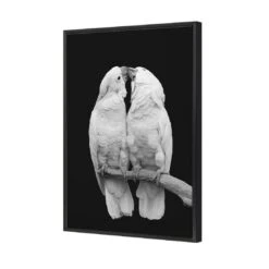 Parrots Kissing, B&W Canvas Art -WALL ART DESGIN SALE 3084AR V Parrots Kissing B W 3D THUMB FF BLK 69e8a52d ce0a 483d b084 ed26cd05b954