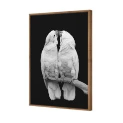 Parrots Kissing, B&W Canvas Art -WALL ART DESGIN SALE 3084AR V Parrots Kissing B W 3D THUMB FF NAT 77868568 5066 4973 9994 837c9f50cdad
