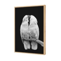 Parrots Kissing, B&W Canvas Art -WALL ART DESGIN SALE 3084AR V Parrots Kissing B W 3D THUMB FF OAK 082d337c a6f5 4cda b32b ffad9d8e157c
