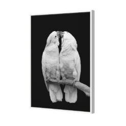 Parrots Kissing, B&W Canvas Art -WALL ART DESGIN SALE 3084AR V Parrots Kissing B W 3D THUMB FF WHT 3d7cc301 6eef 4400 9d25 adf3bad5a9df
