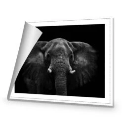 Regal Elephant Canvas Art -WALL ART DESGIN SALE 3109AR H Regal Elephant ROLLED Thumb df371904 4fac 40b9 bd52 a01562a59e1e