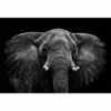 Regal Elephant Canvas Art -WALL ART DESGIN SALE 3109AR H Regal Elephant Thumb Max Size 135x90 ac2ba7b7 4327 44e2 a841 bf842ac4741a