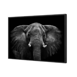 Regal Elephant Canvas Art -WALL ART DESGIN SALE 3109AR H Regal Elephant 3D THUMB FF BLK 482cf766 09ec 4723 a654 800b76415801