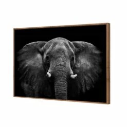 Regal Elephant Canvas Art -WALL ART DESGIN SALE 3109AR H Regal Elephant 3D THUMB FF NAT 2f33e1f9 ce50 44bb 902b 07c56f10456e