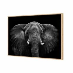 Regal Elephant Canvas Art -WALL ART DESGIN SALE 3109AR H Regal Elephant 3D THUMB FF OAK 858134fb 1f3d 4b1b 9c0a 3d5c2d8fb8a4