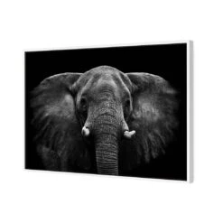 Regal Elephant Canvas Art -WALL ART DESGIN SALE 3109AR H Regal Elephant 3D THUMB FF WHT fb33b6cb f48f 4e3c 95f3 6b08ed5970d3