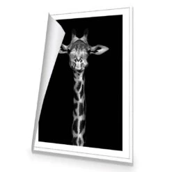 Thornycroft Giraffe Canvas Art -WALL ART DESGIN SALE 3112AR V Thornycroft Giraffe ROLLED Thumb 56526a2f b7db 485d ad4a fca06517a029