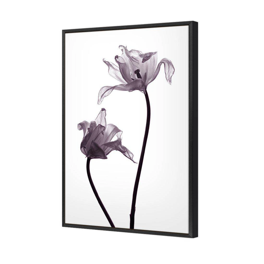 Tulip Transparency 1 Canvas Art Tulip Transparency 1 Canvas Art -WALL ART DESGIN SALE 3115AR V Tulip Transparency 1 3D THUMB FF BLK 4ed53832 a558 4c11 8281 153be3532a78