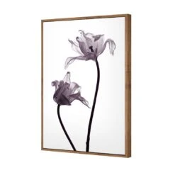 Tulip Transparency 1 Canvas Art -WALL ART DESGIN SALE 3115AR V Tulip Transparency 1 3D THUMB FF NAT fc940891 4c35 498f 9dd4 a96faaf267de