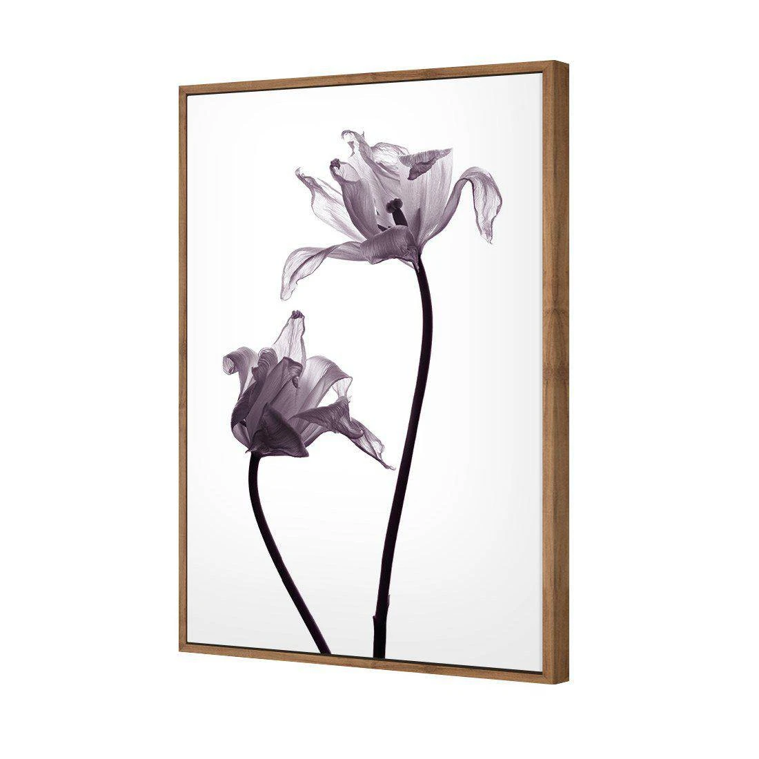 Tulip Transparency 1 Canvas Art Tulip Transparency 1 Canvas Art -WALL ART DESGIN SALE 3115AR V Tulip Transparency 1 3D THUMB FF NAT fc940891 4c35 498f 9dd4 a96faaf267de