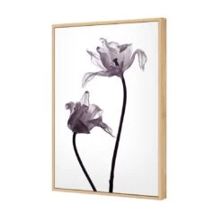 Tulip Transparency 1 Canvas Art -WALL ART DESGIN SALE 3115AR V Tulip Transparency 1 3D THUMB FF OAK 1af4ec28 d3bd 4e2d ab07 84eb8e63713a