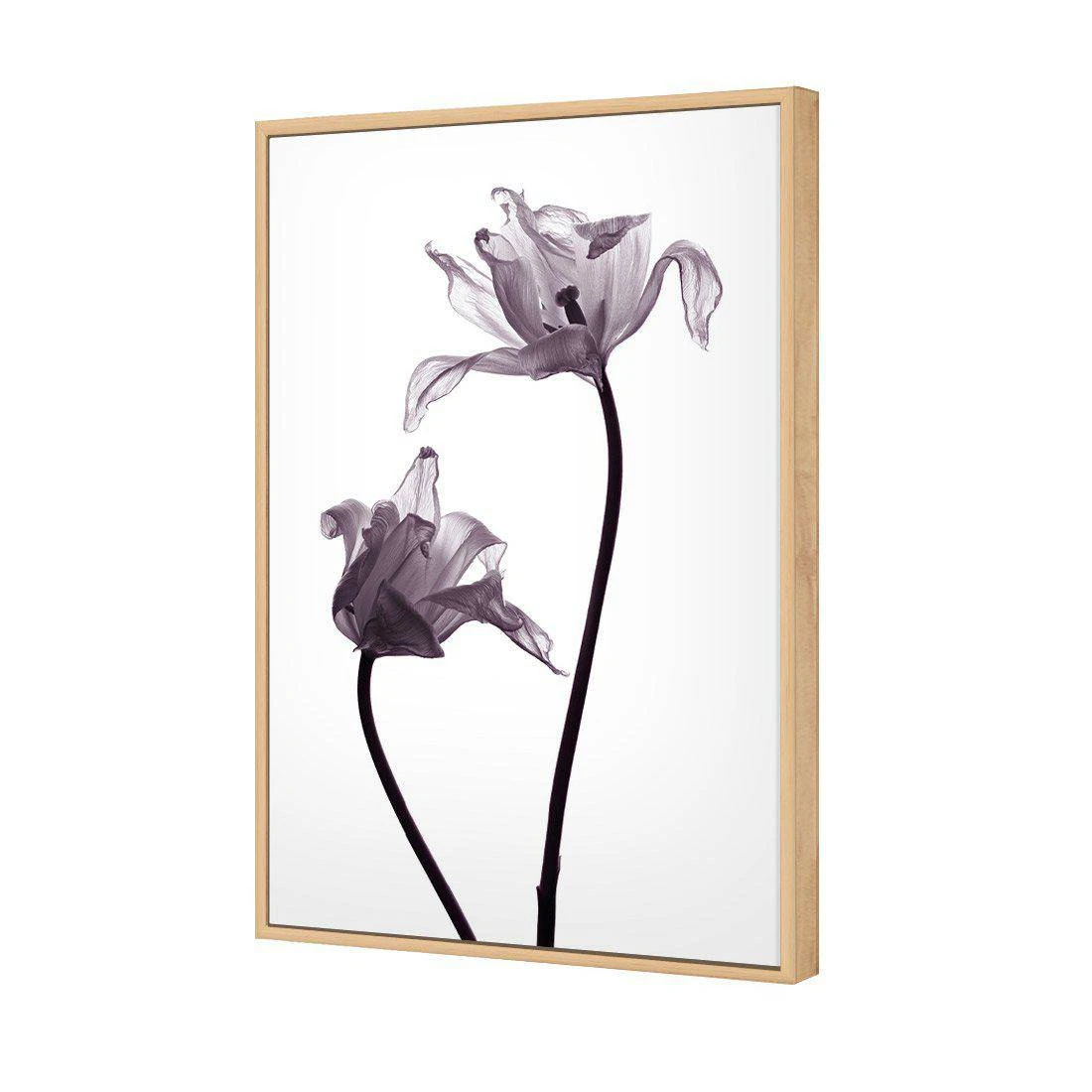Tulip Transparency 1 Canvas Art Tulip Transparency 1 Canvas Art -WALL ART DESGIN SALE 3115AR V Tulip Transparency 1 3D THUMB FF OAK 1af4ec28 d3bd 4e2d ab07 84eb8e63713a
