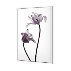 Tulip Transparency 1 Canvas Art -WALL ART DESGIN SALE 3115AR V Tulip Transparency 1 3D THUMB FF WHT 83cdb86f bc5d 4cd6 8956 389a2a7fa140