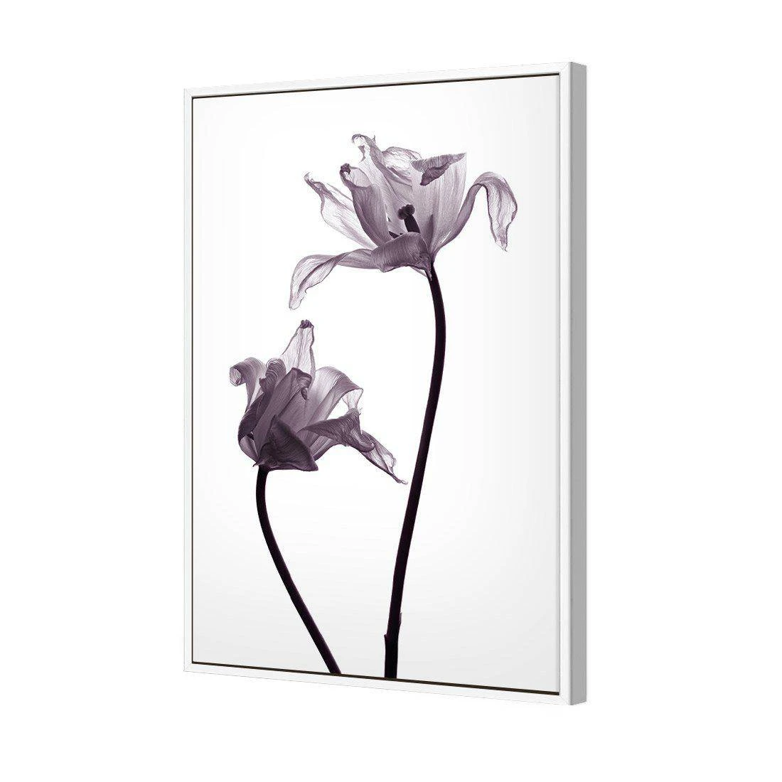 Tulip Transparency 1 Canvas Art Tulip Transparency 1 Canvas Art -WALL ART DESGIN SALE 3115AR V Tulip Transparency 1 3D THUMB FF WHT 83cdb86f bc5d 4cd6 8956 389a2a7fa140